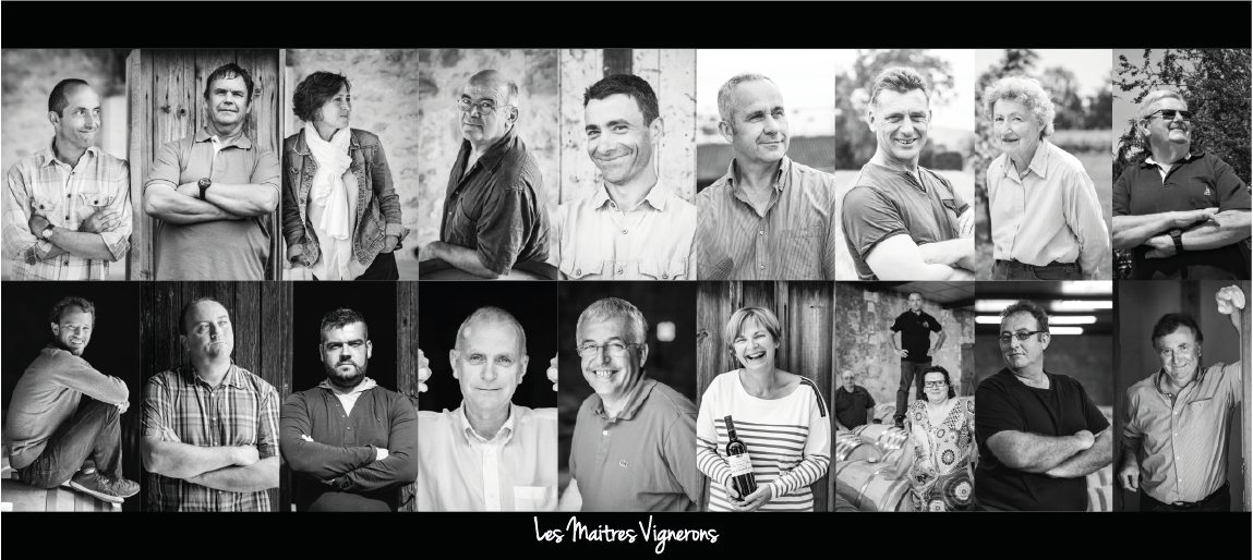 Banderole%20Maitres%20Vignerons.png